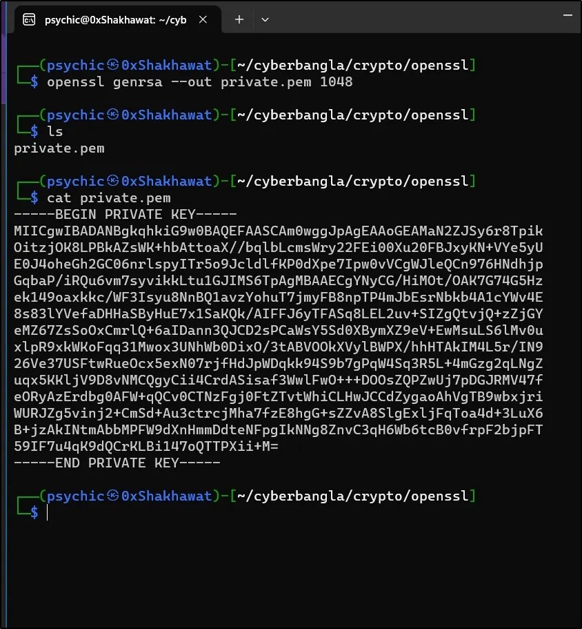Demystifying RSA Encryption and Decryption with OpenSSL Shakhawat