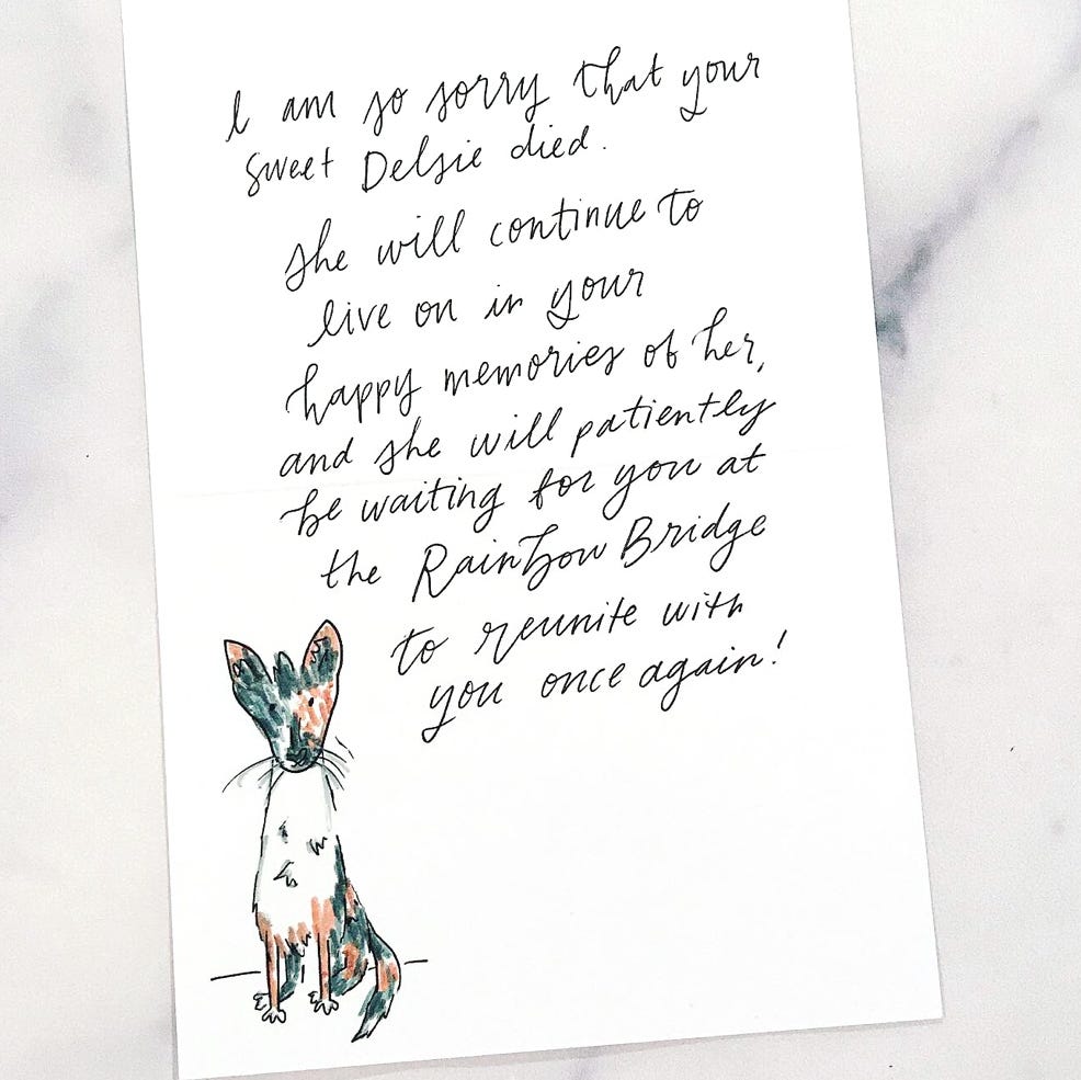 frequency abolish Appeal to be attractive sympathy card for loss of dog