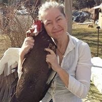 Jennifer Rae – Medium