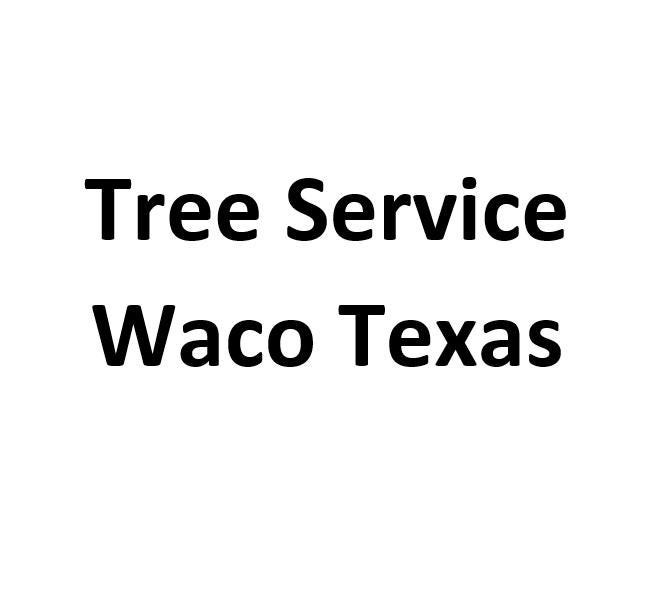 Tree Service Waco Texas Medium