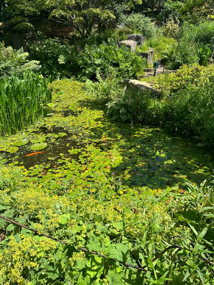 About Marcus Aurelius Medium