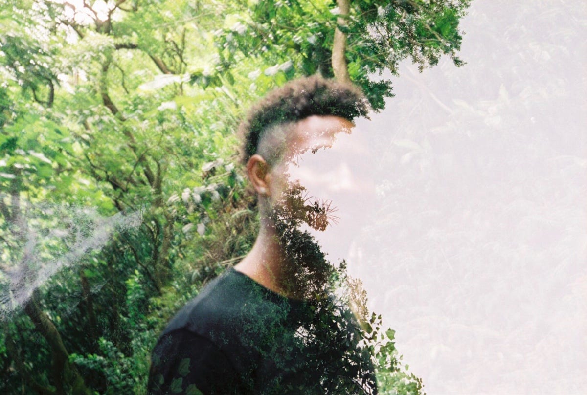 About Donnell Murray Medium