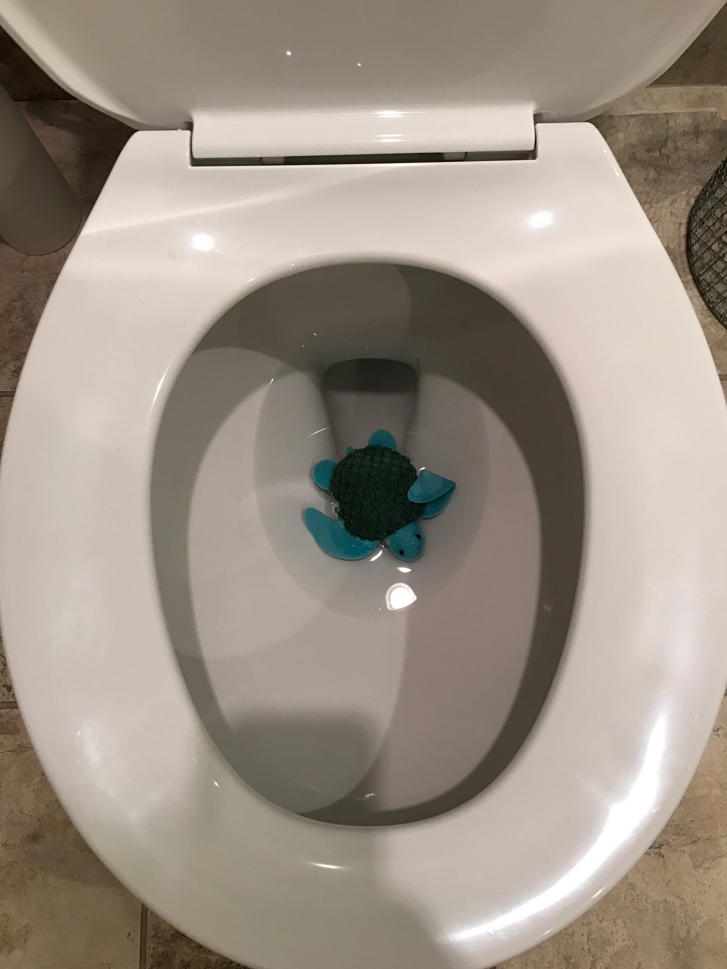My cat throws its toys in the toilet