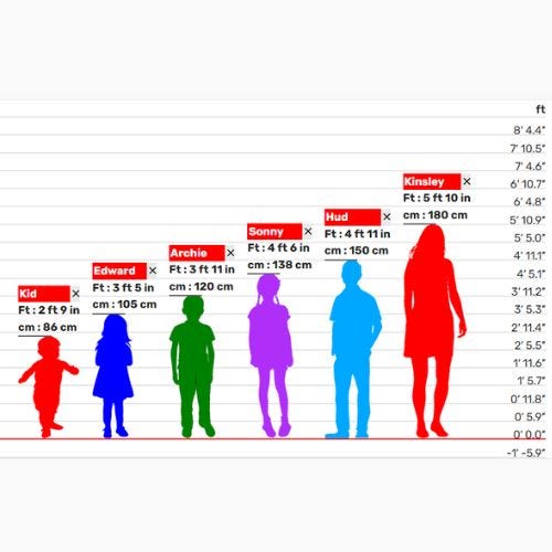 Height Comparison Chart Medium