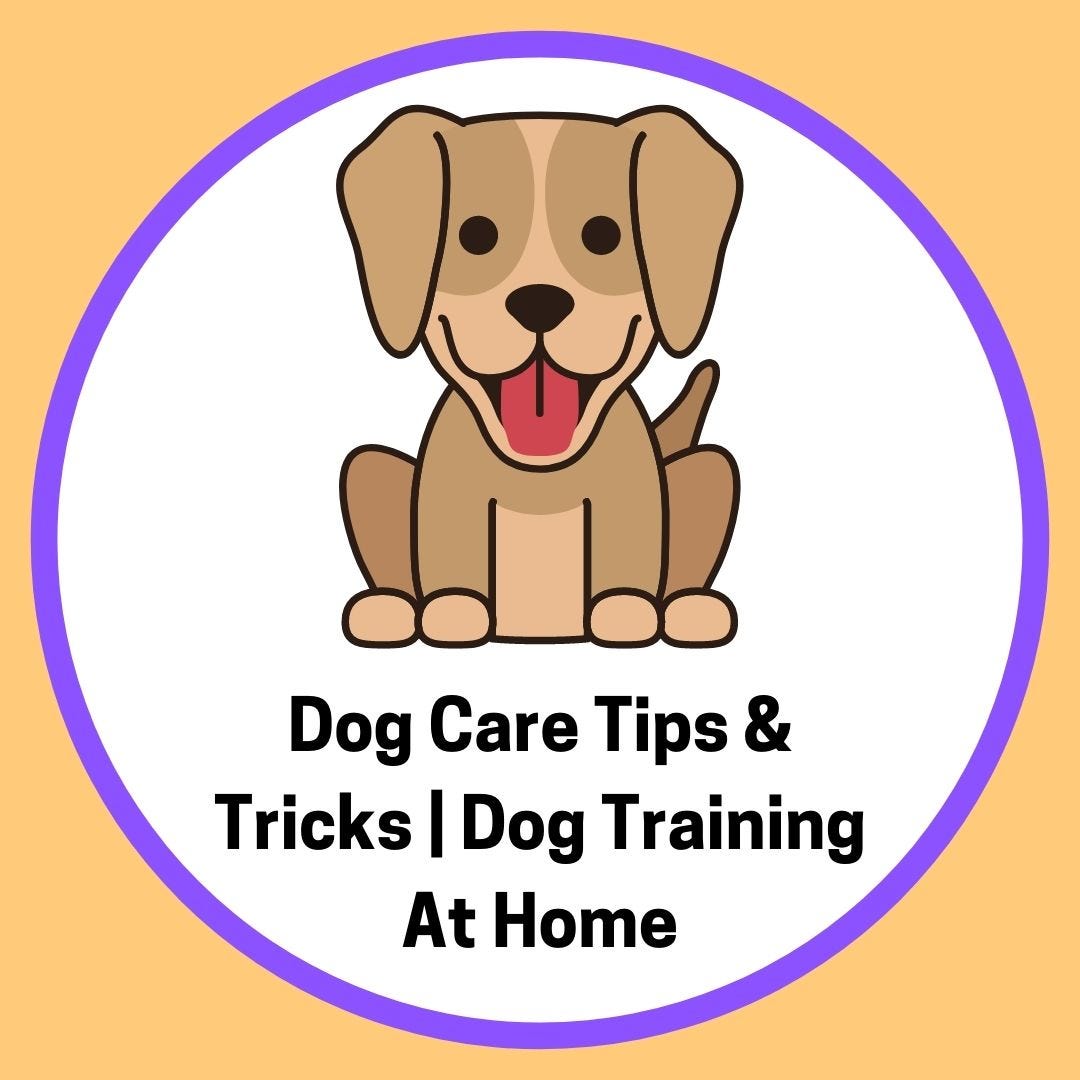 About Dog Care Tips & Tricks Dog Training At Home Medium