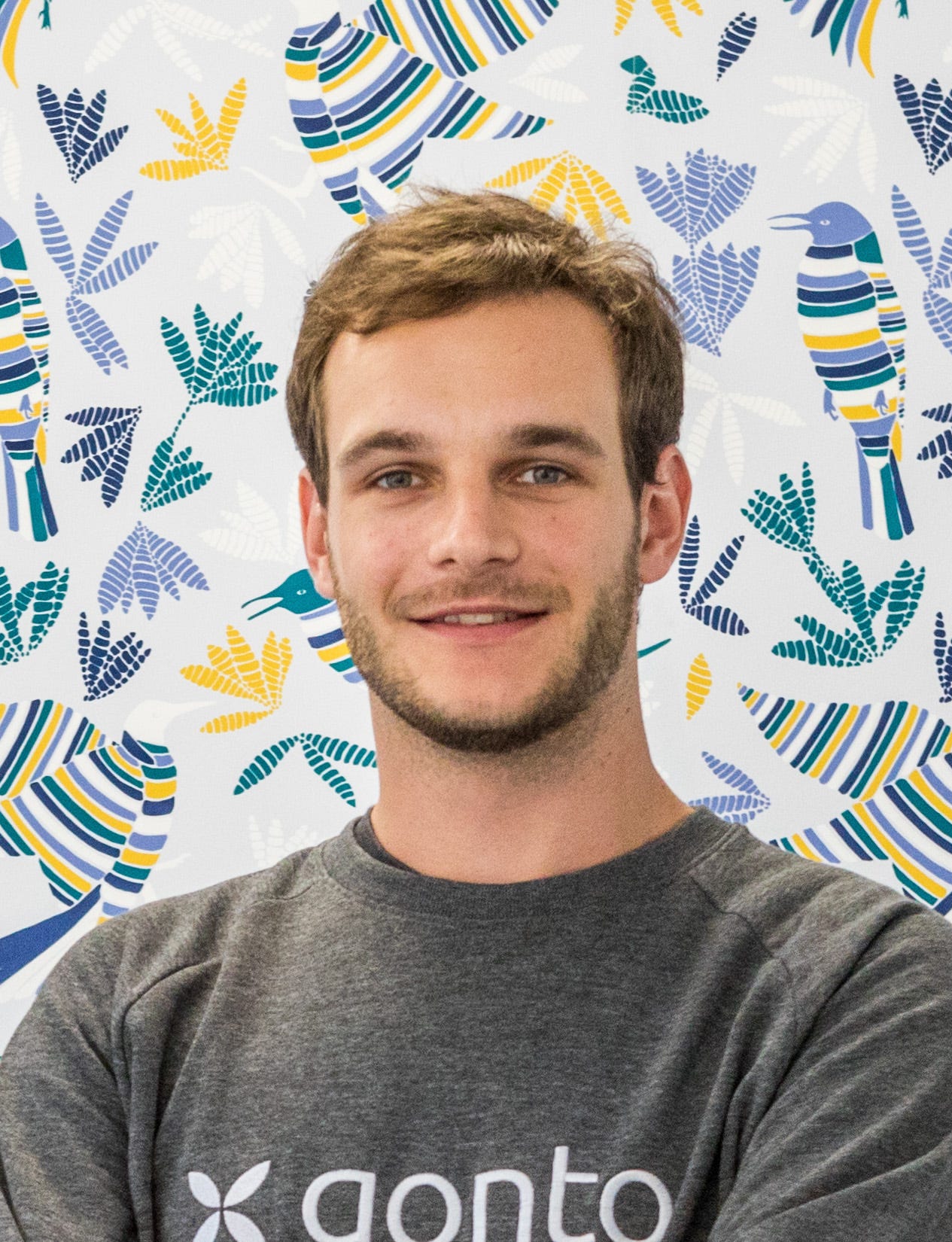 Basile Guerrapin Medium