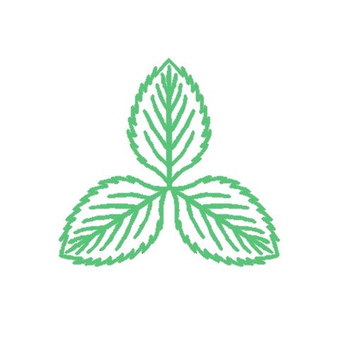 Art Mint Exchange Medium