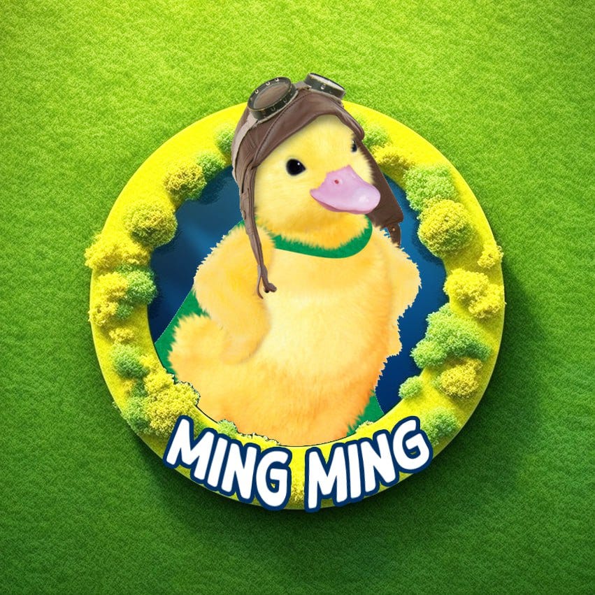 About MING MING Medium