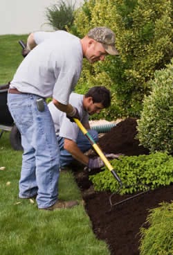 How To Do Lawn Maintenance. Lawn is a vital part of any household… | by