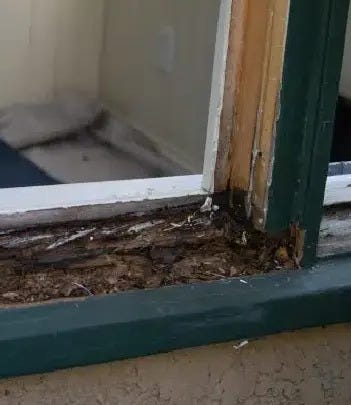 Emergency Window Repair Cleveland | 24/7 Service — Apex