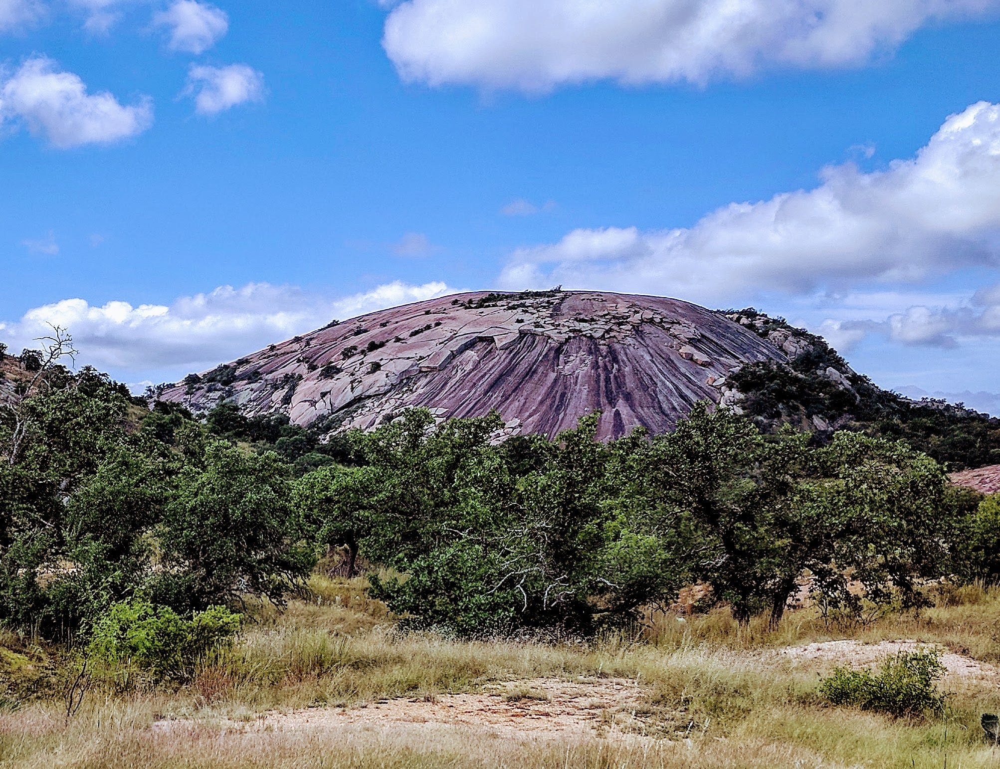 Are Dogs Allowed At Enchanted Rock