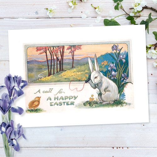 Hot Review! Cute Vintage Easter Bunny with Telephone Holiday Card for