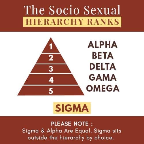 From Alpha To Omega What Is Your Socio Sexual Hierarchy Rank? by The