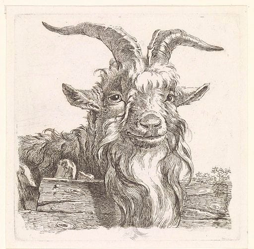 Why is a buck called a buck? Harry Shepherd Medium