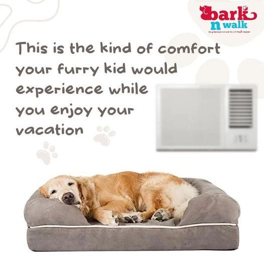 home pet boarding barkn walk Medium