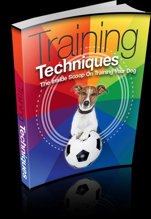 Training Techniques Introducing Training Techniques The Inside Scoop on