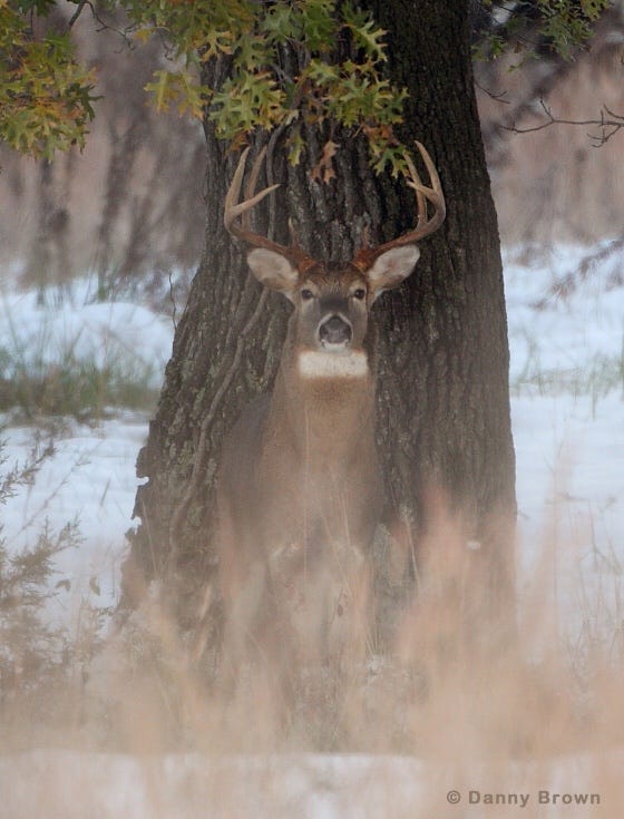 I sat on the cold, windy deer stand from before sunup until dark. by