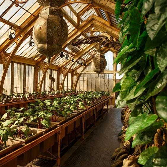 “Enchanted Hours in the Herbology Classroom A Magical Journey” by