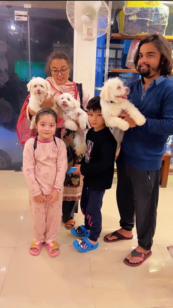 Pet Boarding in Karachi Petcarencure Medium