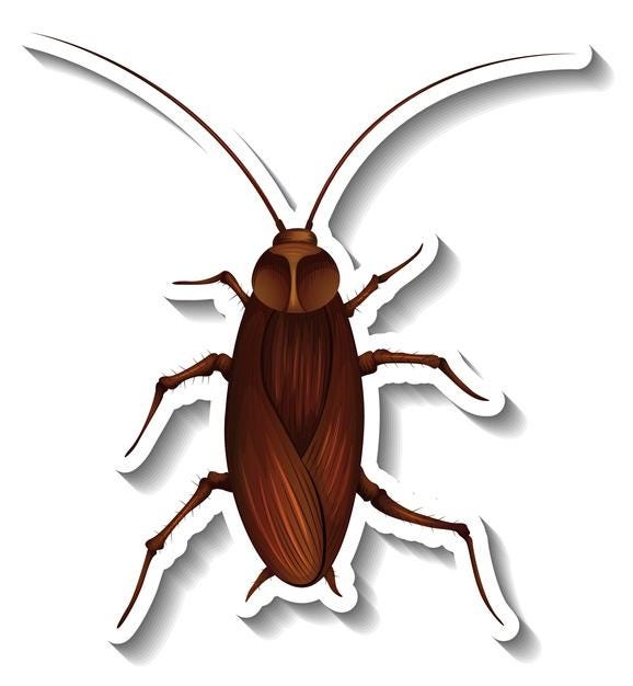 IS IT NORMAL TO BE SCARED OF COCKROACHES? by Imam Mashari Medium
