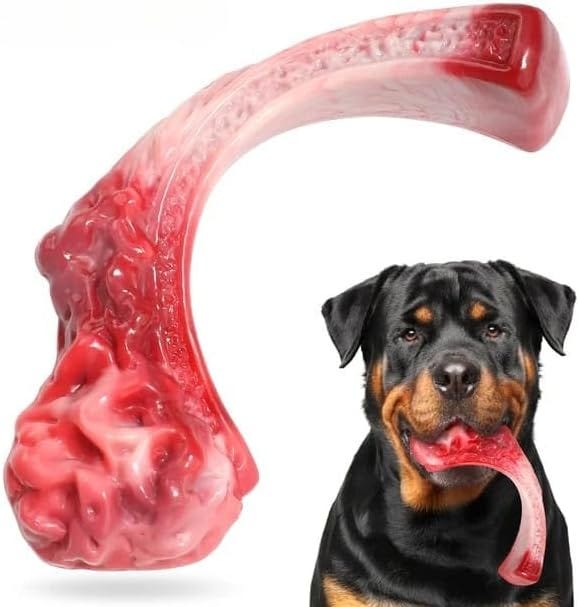 Why Every Dog Owner Needs a Chew Toy for Their Pet by khalid mehmood
