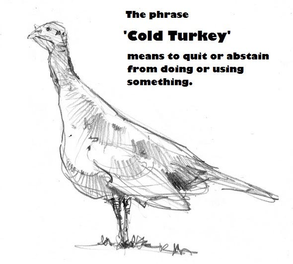 Addict in Recovery What it is like to go ‘Cold Turkey’ by Phoebe