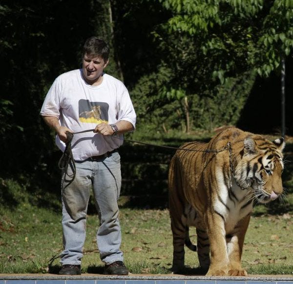 Top 10 Coolest Pets in the World. Let’s see how it looks like to have