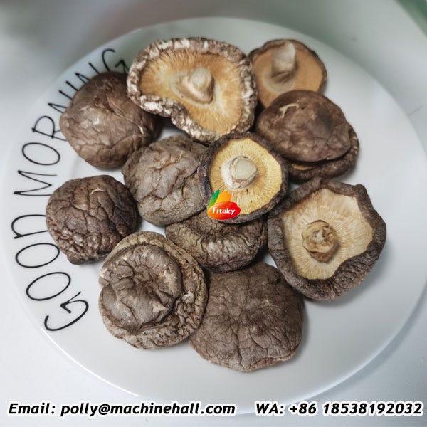 The magic of dried shiitake mushrooms retaining flavor through