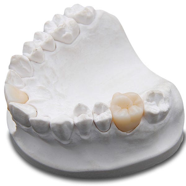 dental blocks New Century Dental Medium