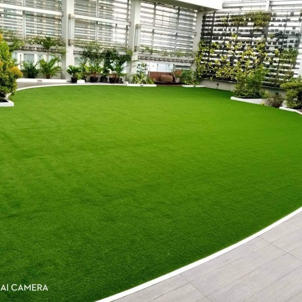 Turf Artificial Grass And Plants Supplier In The Philippines