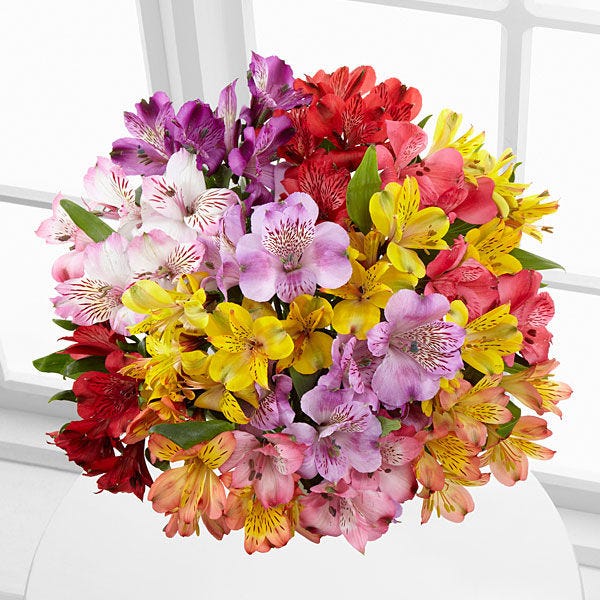 The Best Online FLowers in Toronto by Jesse karson Medium