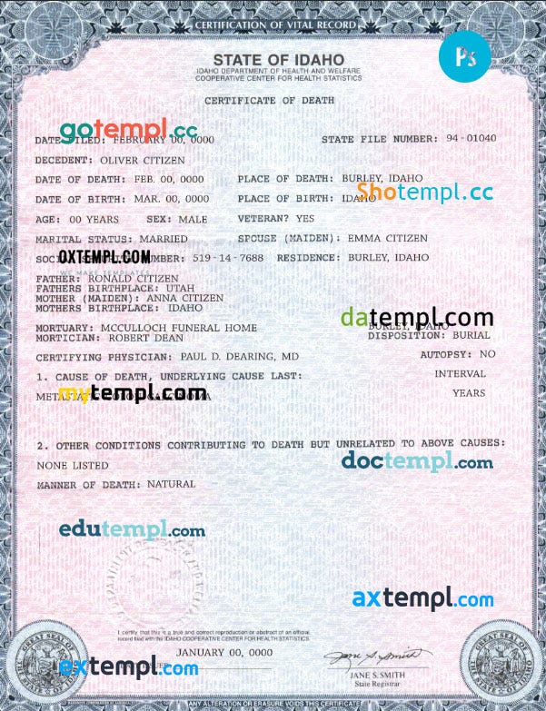 USA state Idaho death certificate example in PSD format, fully editable
