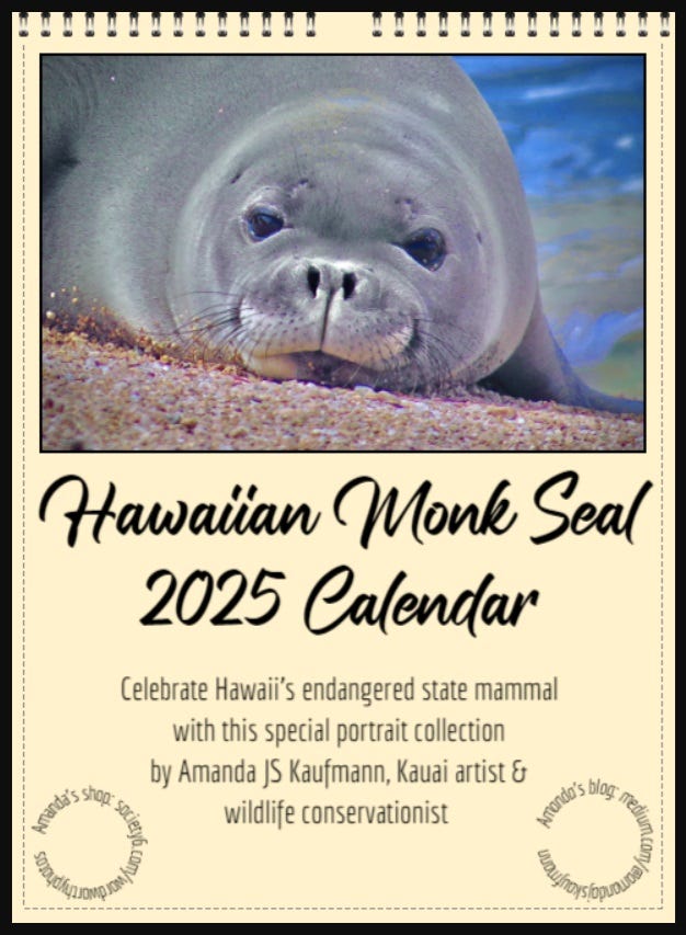 How to Raise Awareness When Your Reach Is Small, & 2025 Hawaiian Monk Seal Calendars for Sale How to Raise Awareness When Your Reach Is Small, & 2025 Hawaiian Monk Seal Calendars for Sale
