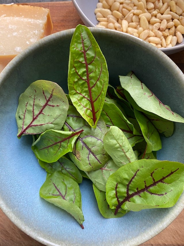 Sorrel The Underrated Healthy Perennial Vegetable You Must Try by
