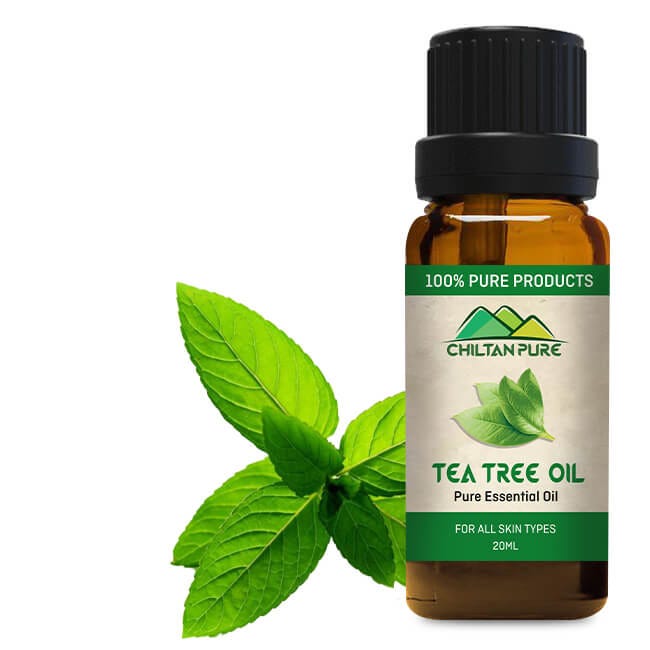 Tea Tree Oil — The Many Health Benefits of This Natural Substance by
