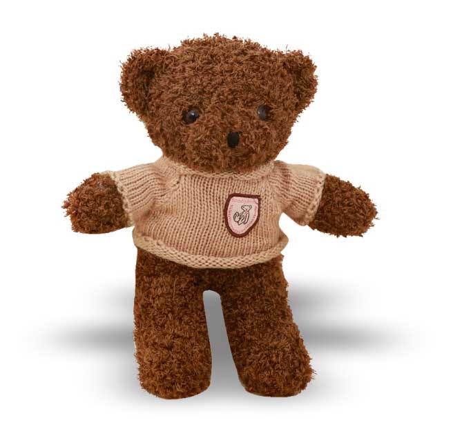 Why Is the Teddy Bear Called Teddy Bear?2 by Richard Lee Medium