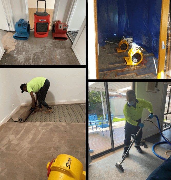 Effective Flood Damage Carpet Drying Methods by Jerry Lazaris Medium