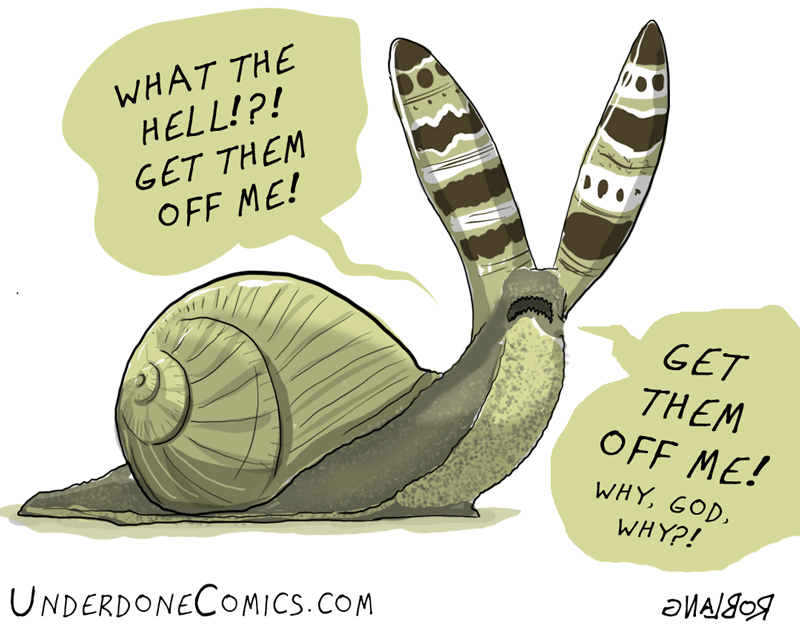 Leucochloridium Paradoxum Life Cycle