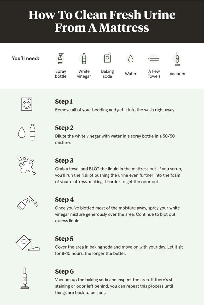 How to Clean Pee Out of a Mattress Quick & Easy Fixes by Emma