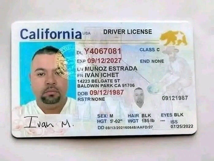 California Drivers License Guide. 🚗📝 Your Key to the Open Road! 🗺️ by(02)