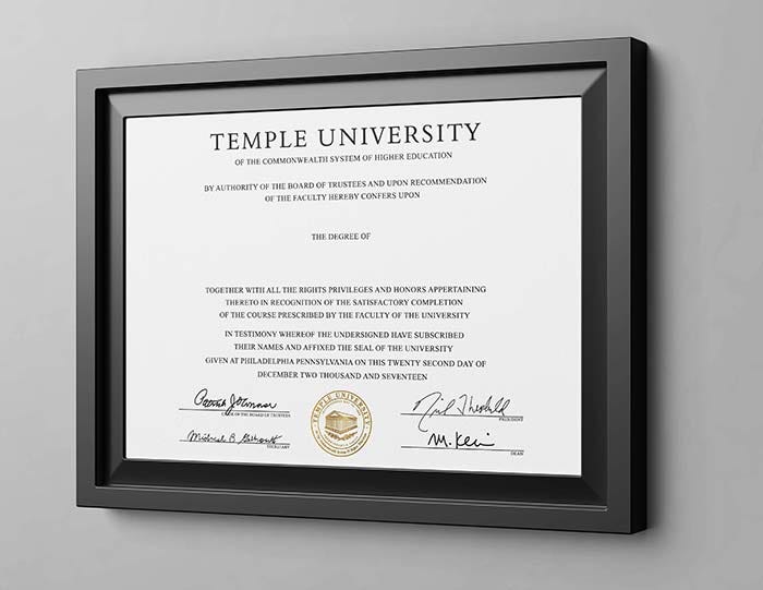 Power of a Temple University Degree by Sterling Phoenix Feb, 2024