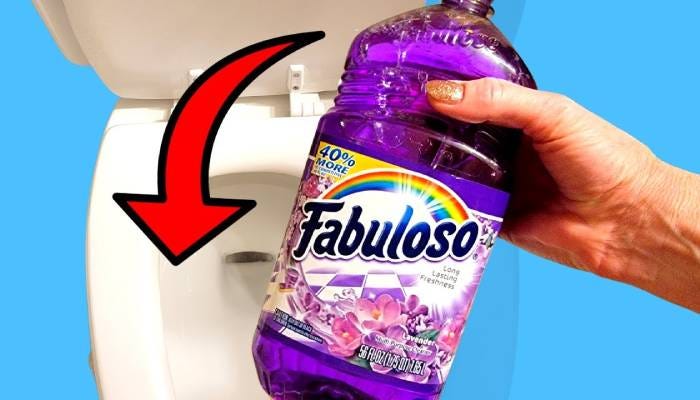 Can You Use Fabuloso to Clean the Toilet Bowl? | by Lovely Household