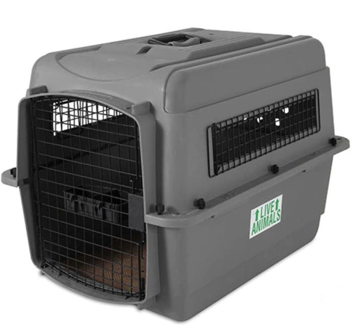 How to Choose the Best Crate for Transporting Your Cockapoo Dog by