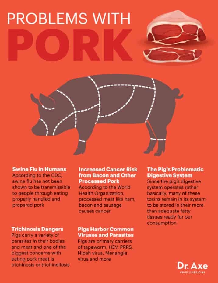 Why You Should Not Eat Pig !!! by Generation Observer Medium
