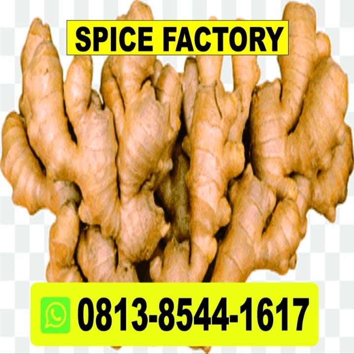 SUPPLIER CENTER CALL +62813 8544 1617, GINGER IMPORTING COMPANIES IN