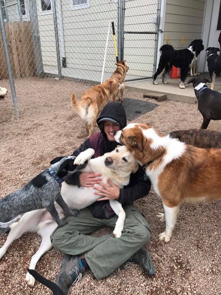 Dog Crate Training Guidelines to Success by Backlinks Service Medium