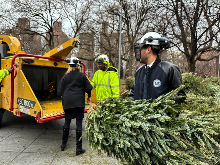 Parks Dept. To Mulch Artificial XMas Trees Short and Weird