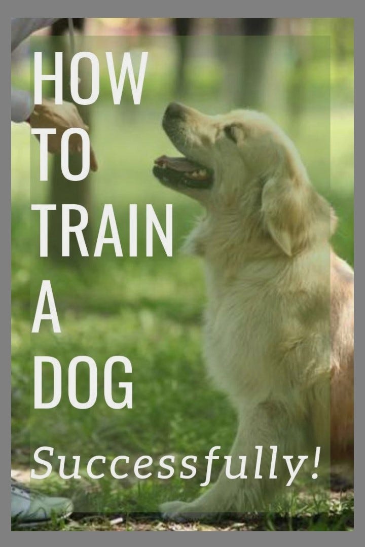 Dogs Obedience Training. It is always great to have a dog or… by