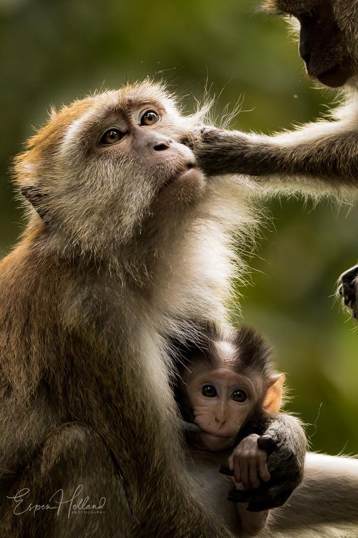 How to choose your photography niche by Espen Helland Medium