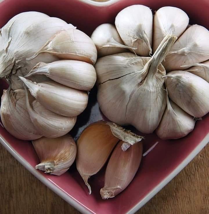GARLIC ; NATURE'S Cure Facilitating TOOTH Torment AND Reducing JOINT